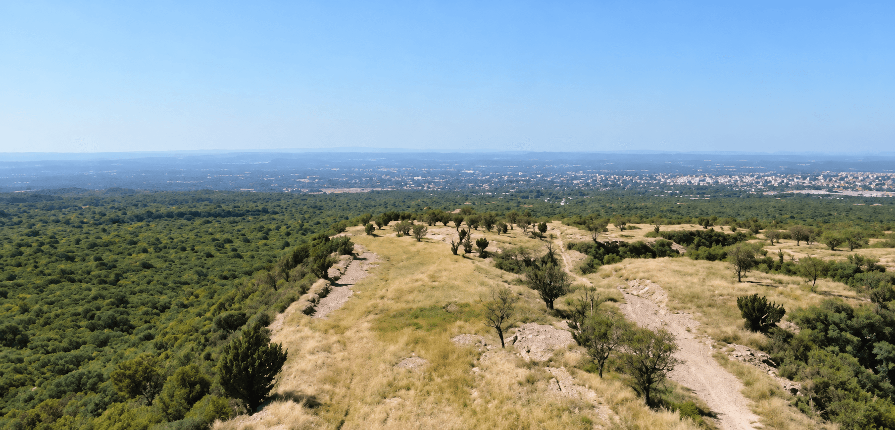Fotograma de dron del terreno natural y las visuales hacia la ciudad.
